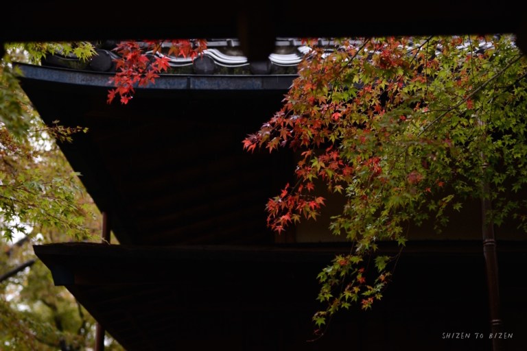 21165hakone2015nDSC_3301