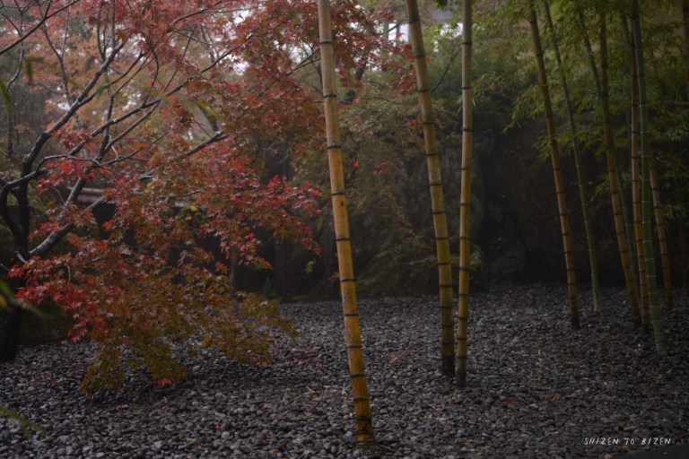 21170hakone2015nDSC_3331