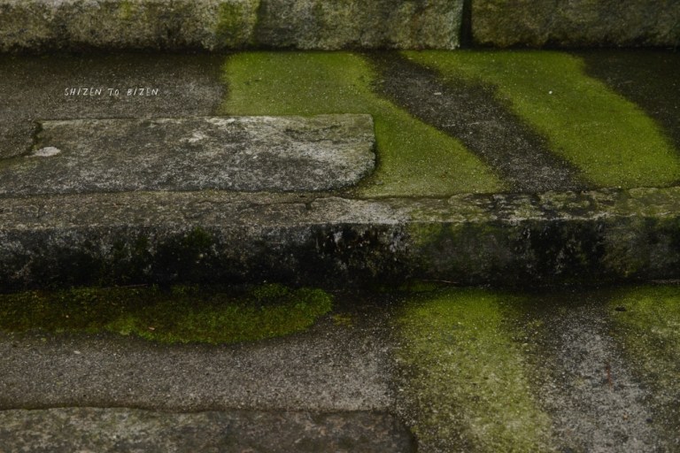 21192hakone2015nDSC_3405