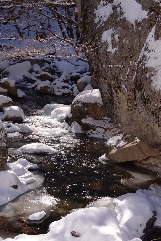 1207720150201DSC_0567