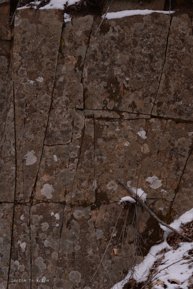 1258520150210DSC_1242