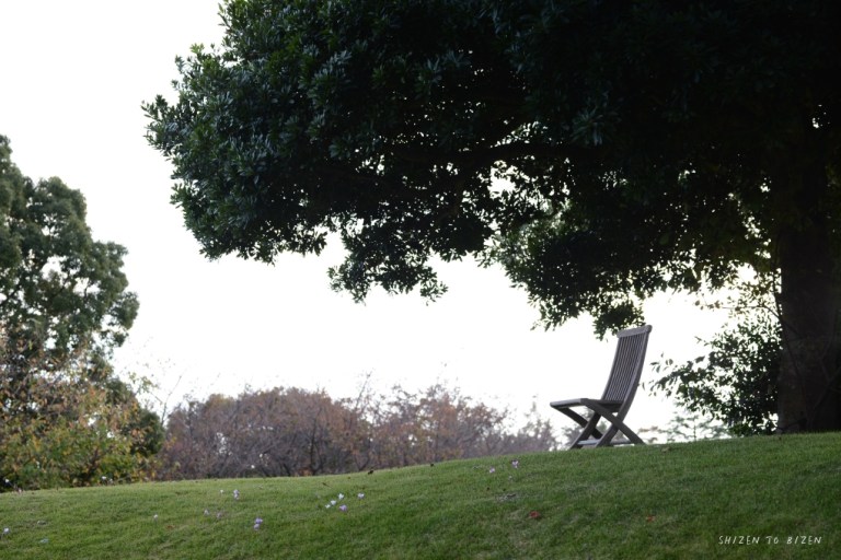 21201hakone2015nDSC_3457