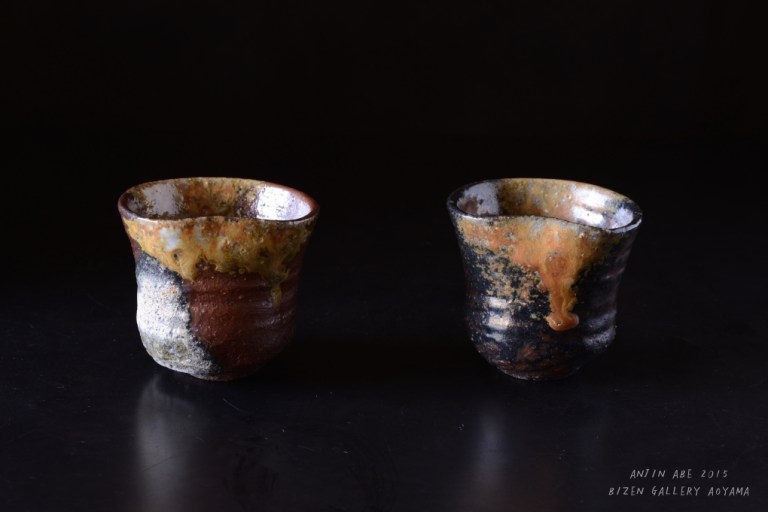 22232aa2015exDSC_4878