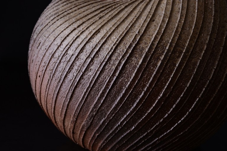 22380shibutakakiDSC_5123