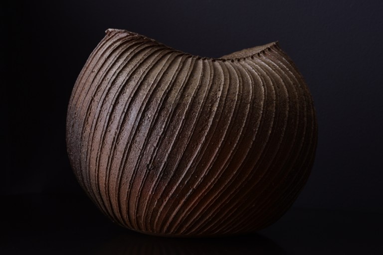 22392shibutakakiDSC_5140