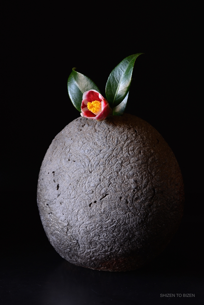 2261620160116DSC_5500