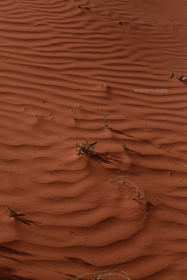 36262014azmvDSC_8042