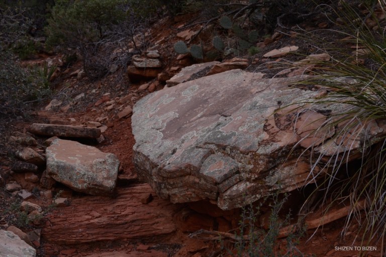 37092014azgcDSC_7418