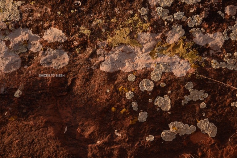 37502014azgcDSC_7555