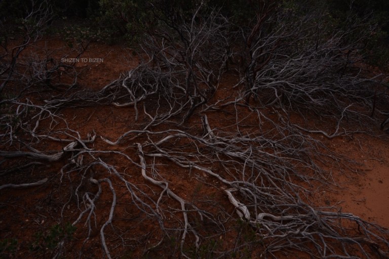 37912014azgcDSC_7683