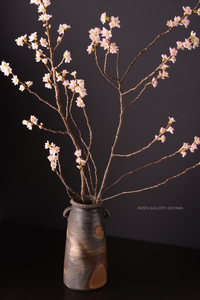 22972sakurabizenDSC_6145