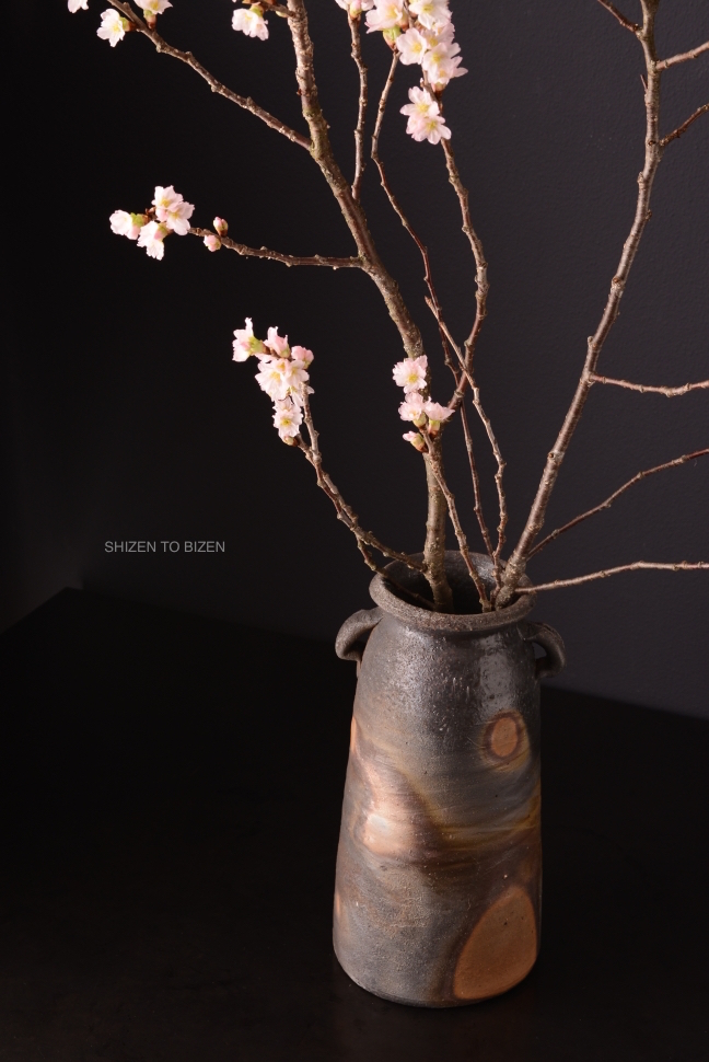 22973sakurabizenDSC_6146