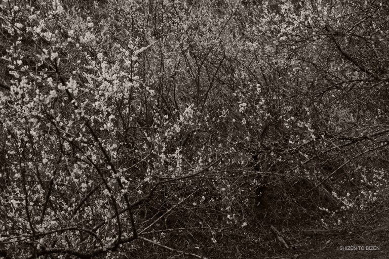 2304820160222DSC_6241