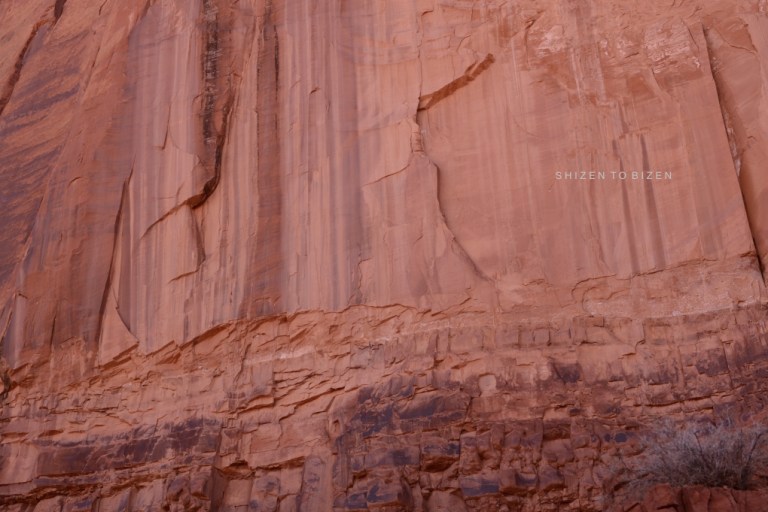 35952014azmvDSC_8036