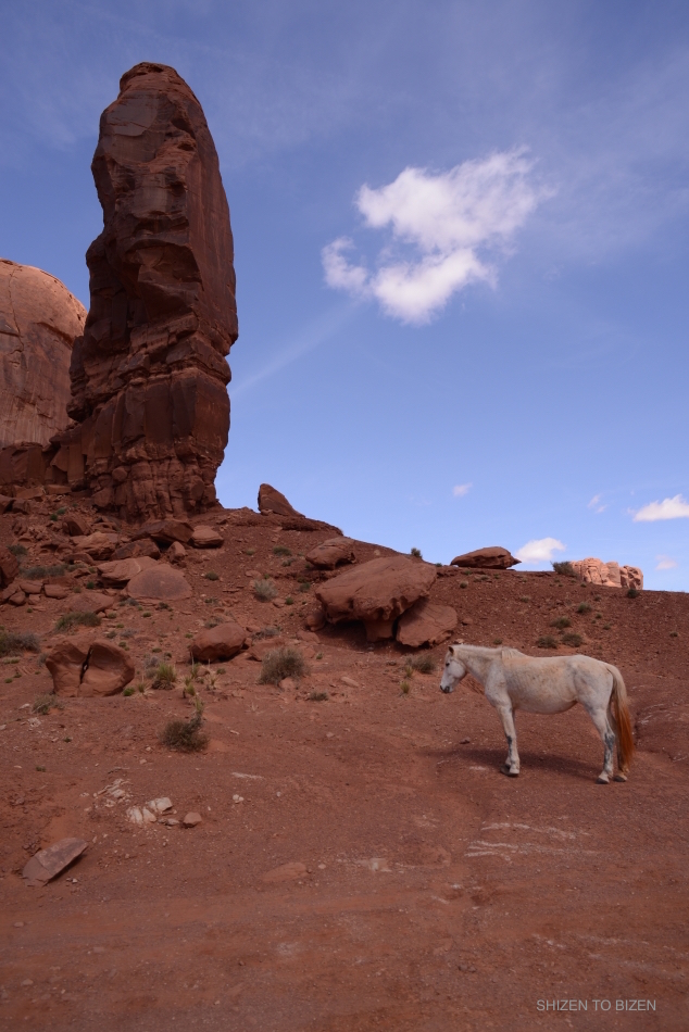 36532014azmvDSC_8024