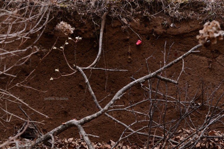 2305820160222DSC_6272