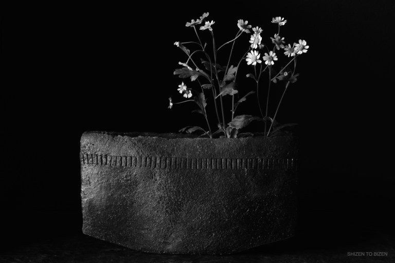 24587wakimoto2016DSC_9018