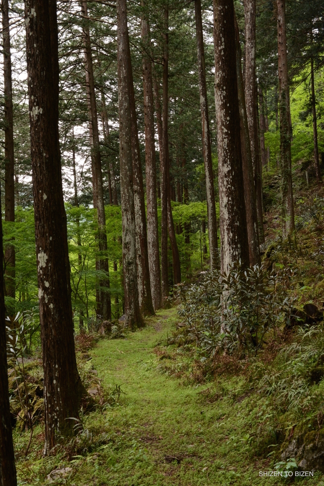 24706mitsumineDSC_8683