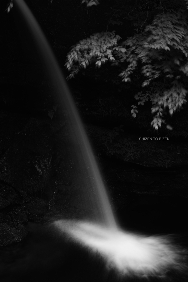 24729mitsumineDSC_8738