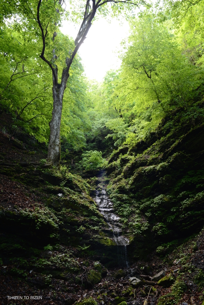 24744mitsumineDSC_8780