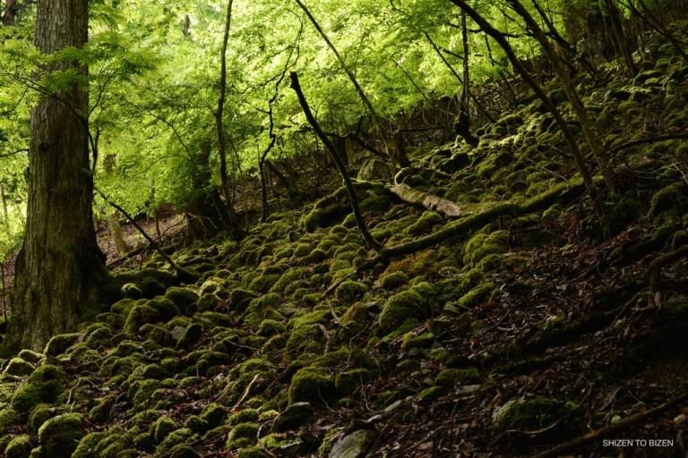 24821mitsumineDSC_8795