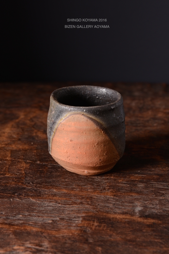 24987koyama2016DSC_9362