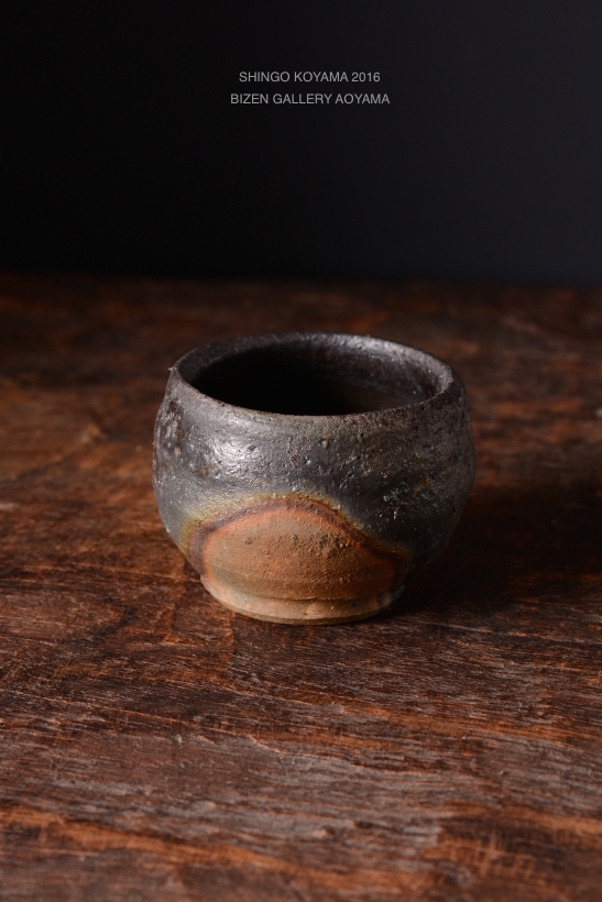 24992koyama2016DSC_9369