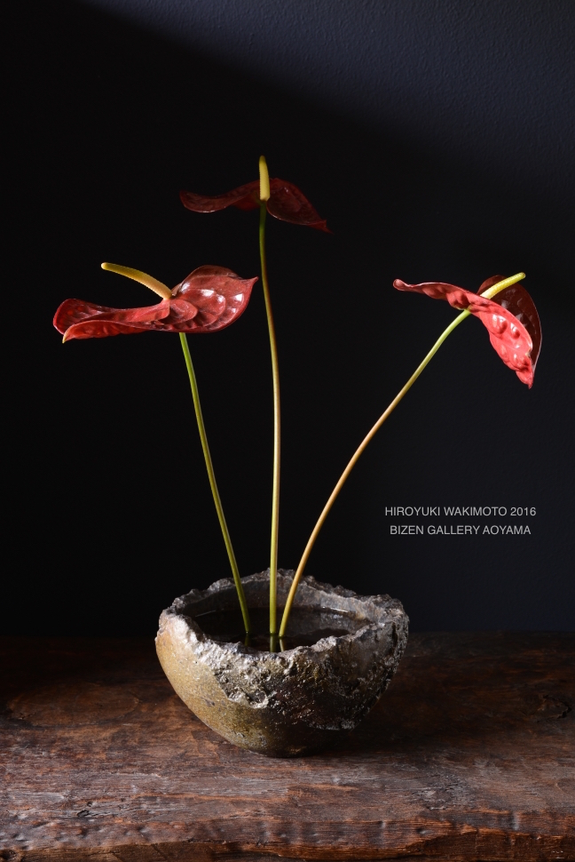 25239wakimoto2016exDSC_9828