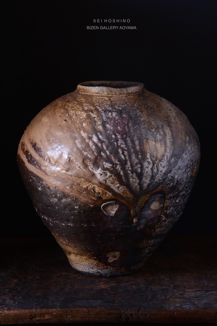 2010dsc_7630shoshinotsubo