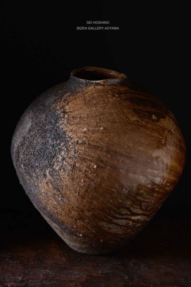 25378hoshino2016tsuboDSC_0059