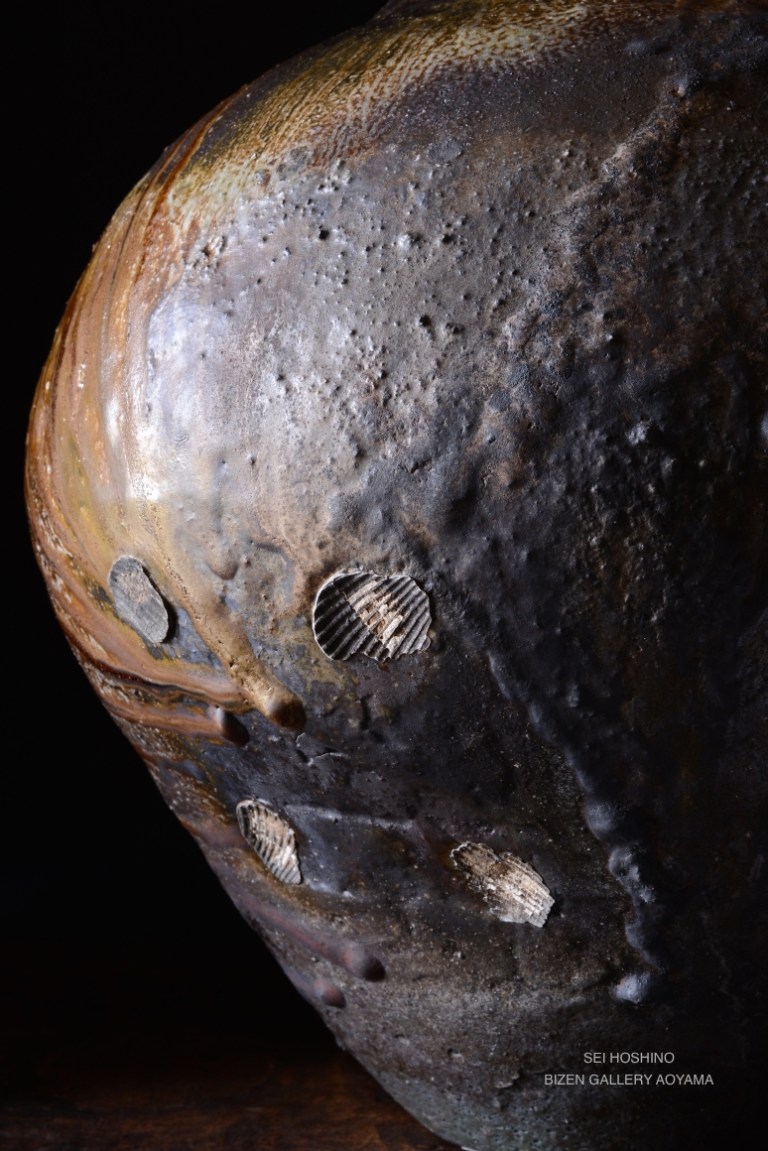 25392hoshino2016tsuboDSC_0080