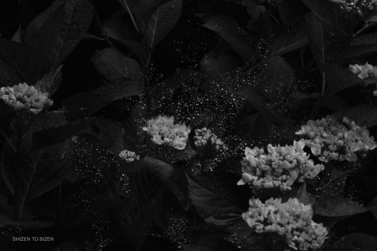 2551420160607DSC_0316