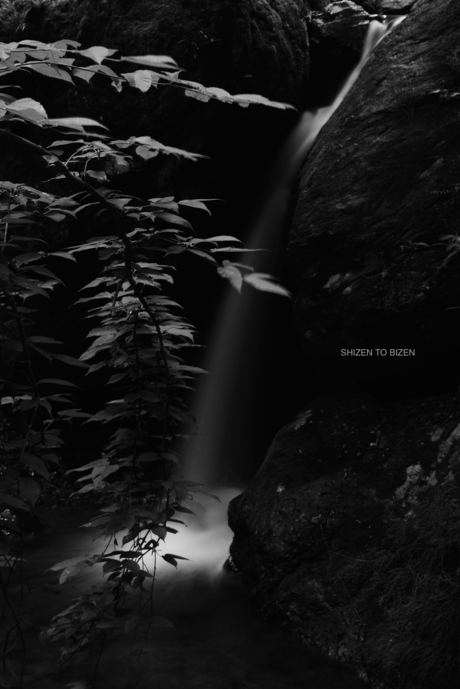 2552220160607DSC_0284