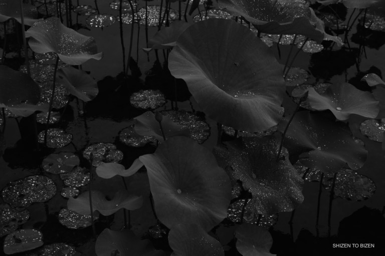 2556020160613DSC_0363