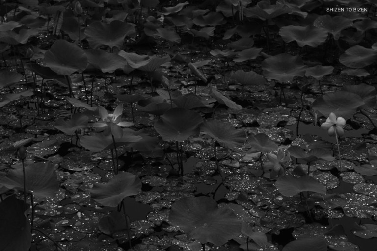 2556420160613DSC_0371