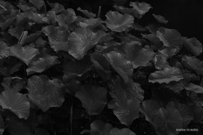 2556720160613DSC_0374