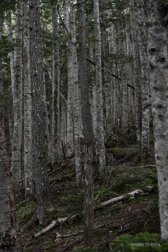 _0702016julystDSC_1084