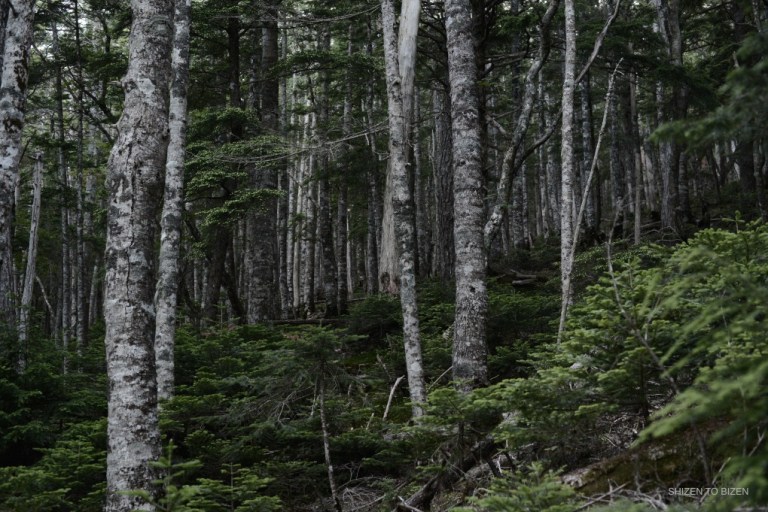 _1032016julystDSC_1081