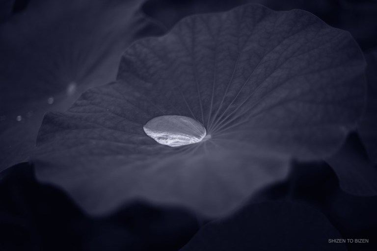 _1992016julystDSC_1195