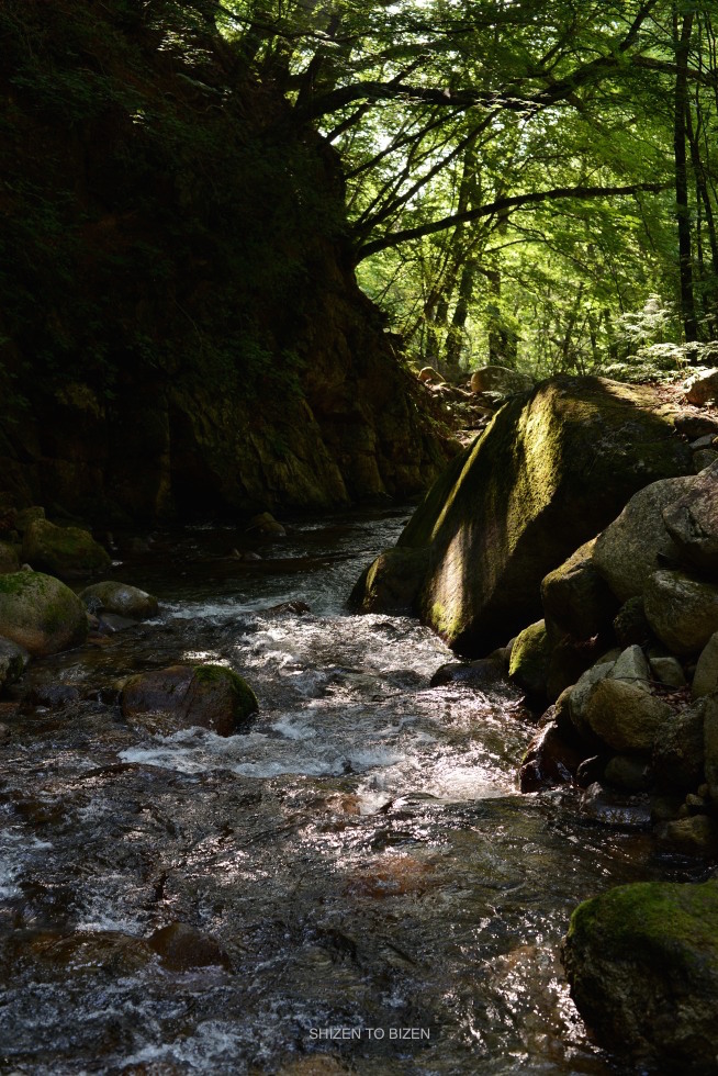 _482masutomiDSC_1736