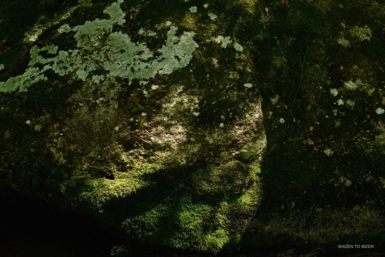 _498masutomiDSC_1665