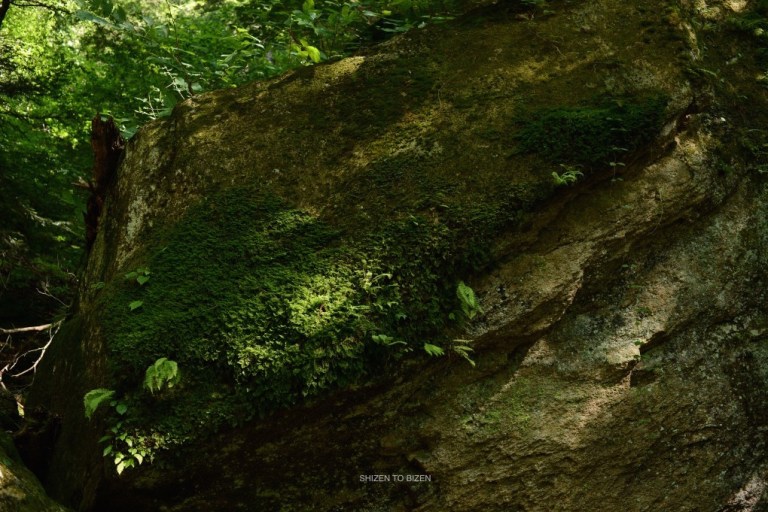 _506masutomiDSC_1686