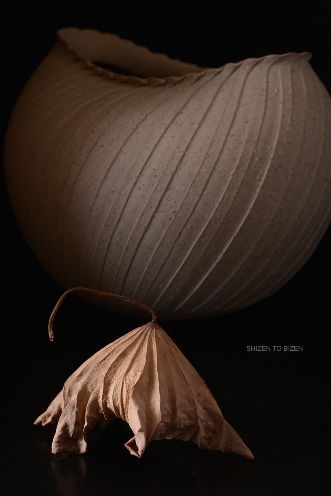 _1022karehasuDSC_2545