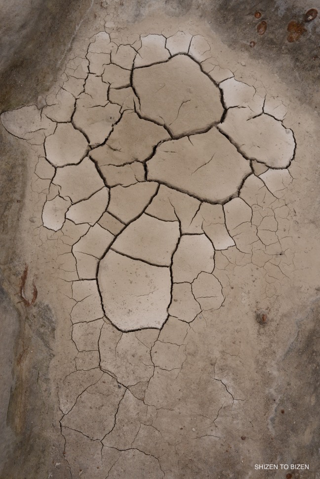 _107920160821DSC_2617