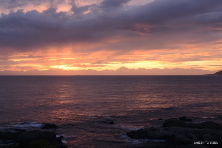 _113020160821DSC_2705