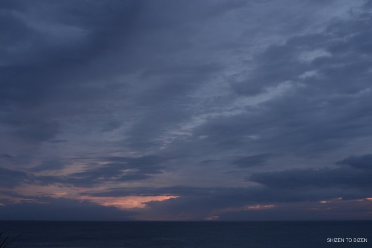 _113720160821DSC_2719