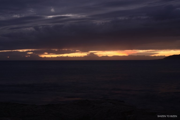 _114020160821DSC_2729