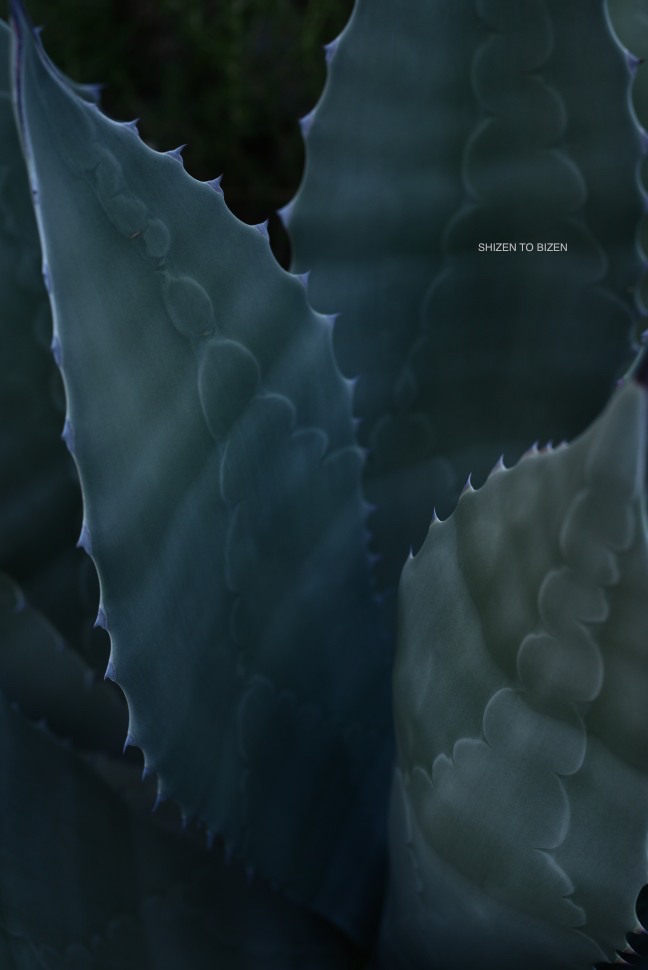 _121620160824DSC_2838