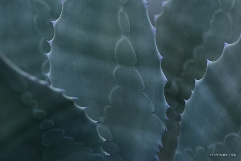 _122620160824DSC_2853