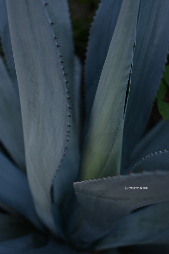 _123220160824DSC_2859